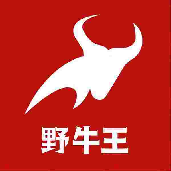 尊龙人生就是博d88光解净化器废气净化器生产厂家野牛王丨净诺科技 空气净化设备制