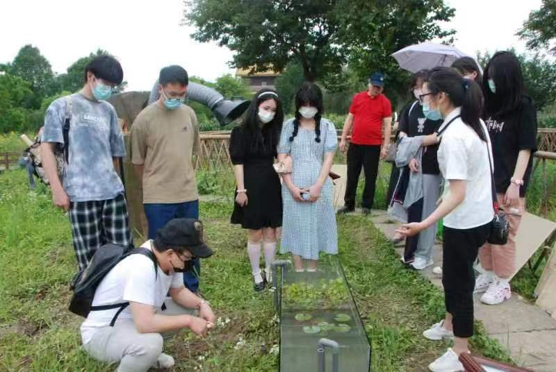 宁波：杭州湾国家湿地公园“农耕园环保展示区”正式对外开放